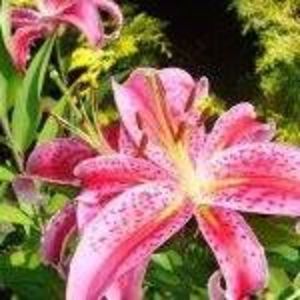 Meet your Posher, Ellen